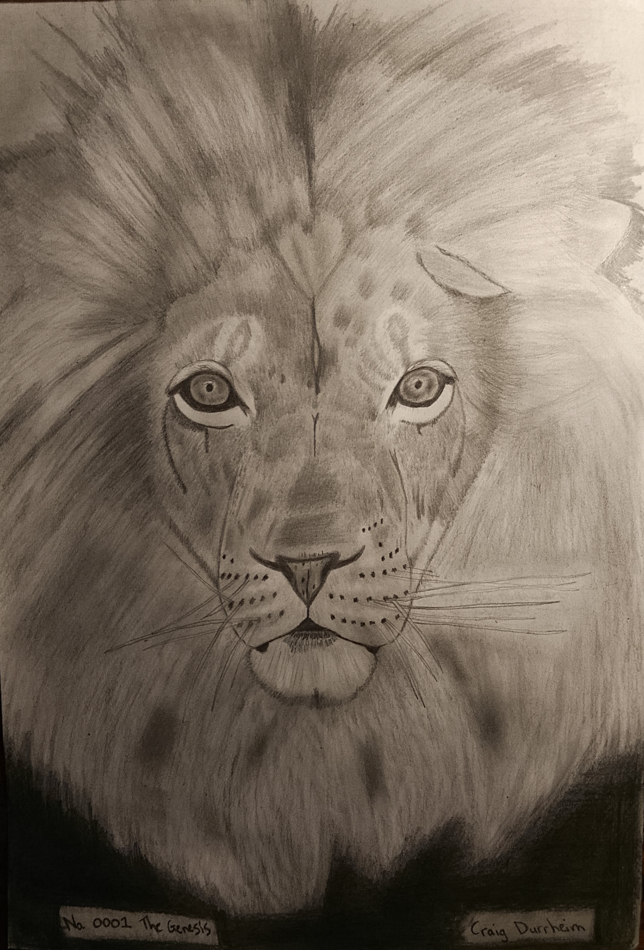 Luxury Lion Artwork 1