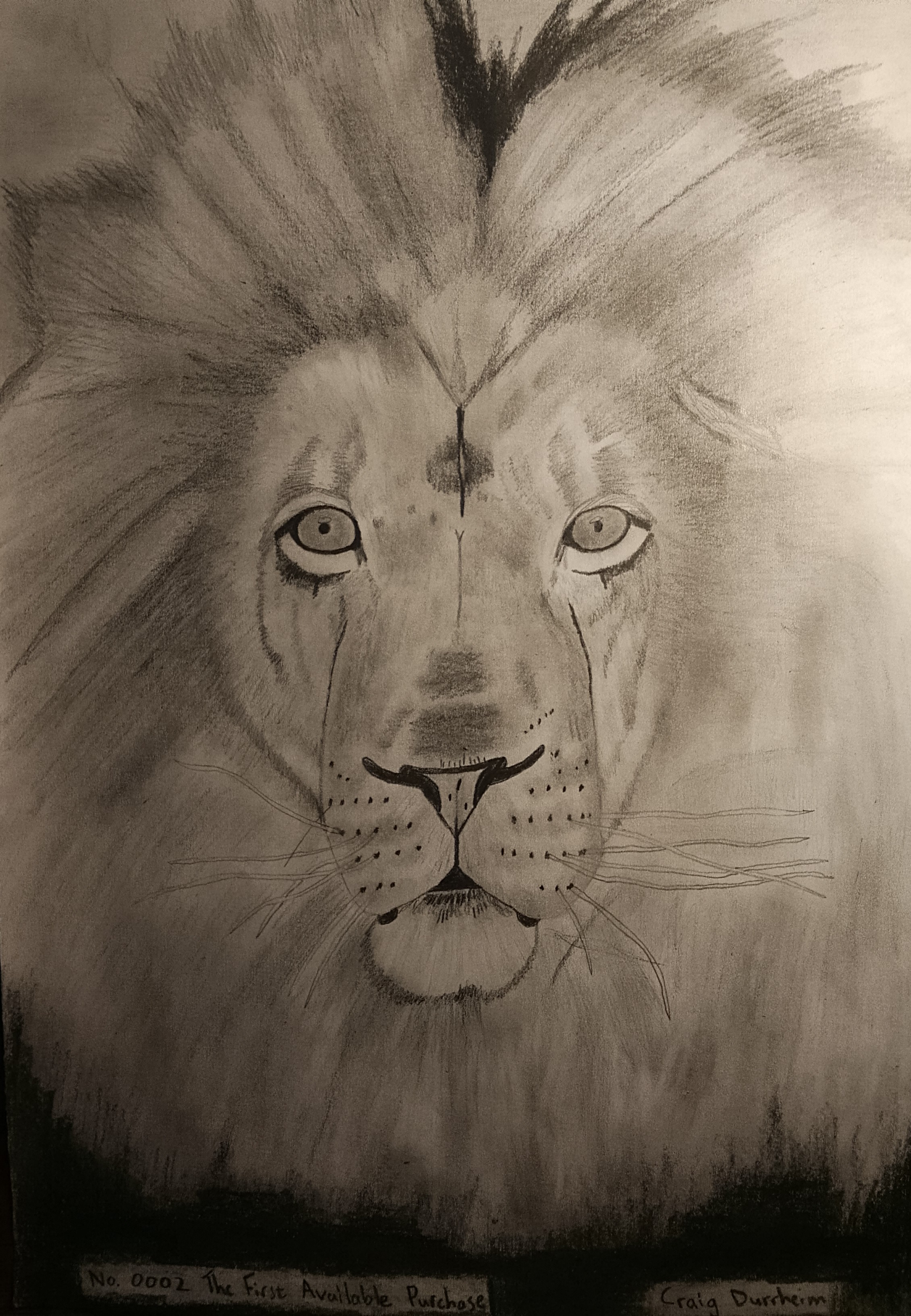 Luxury Lion Artwork 2