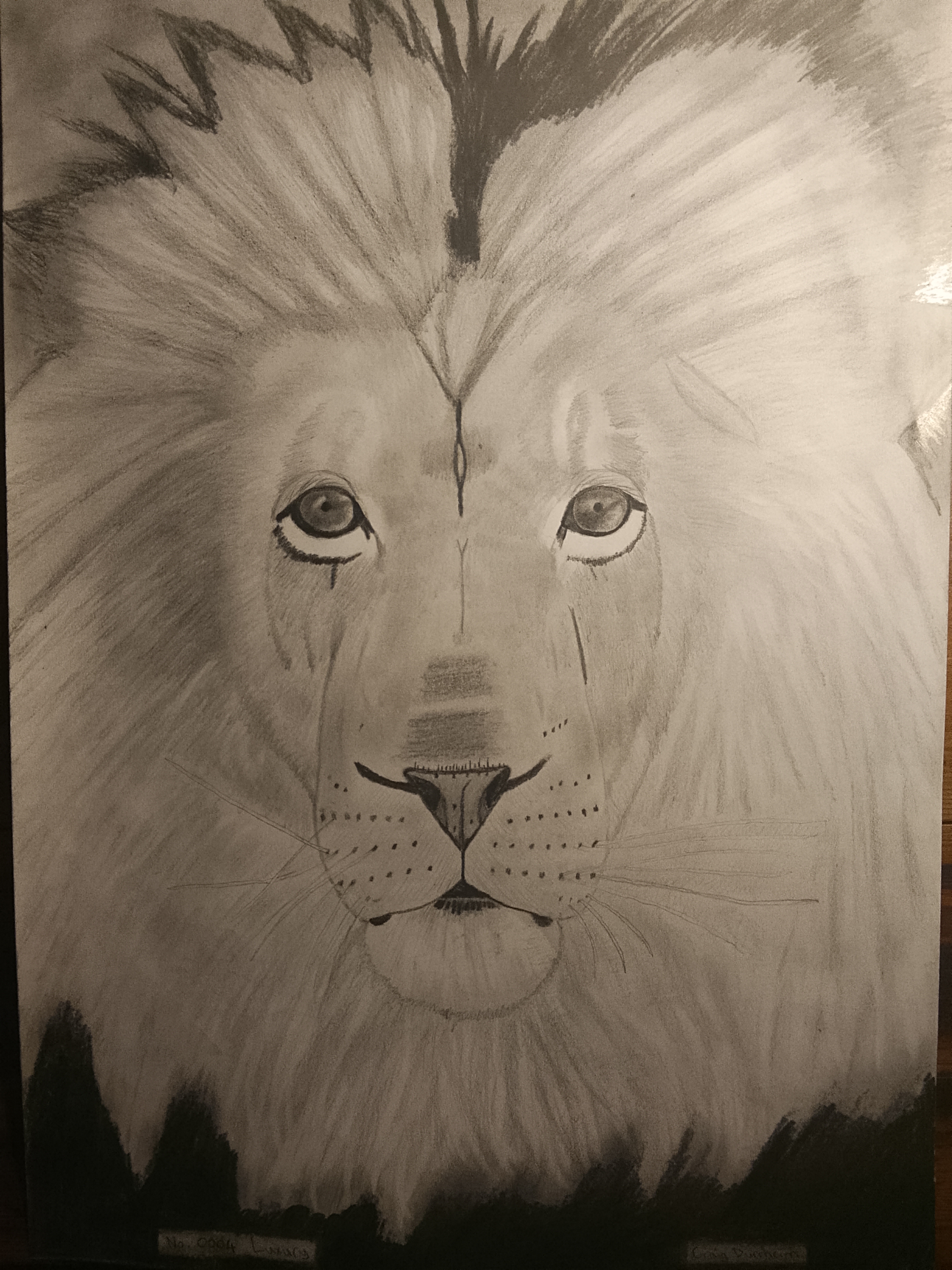 Luxury Lion Artwork 3