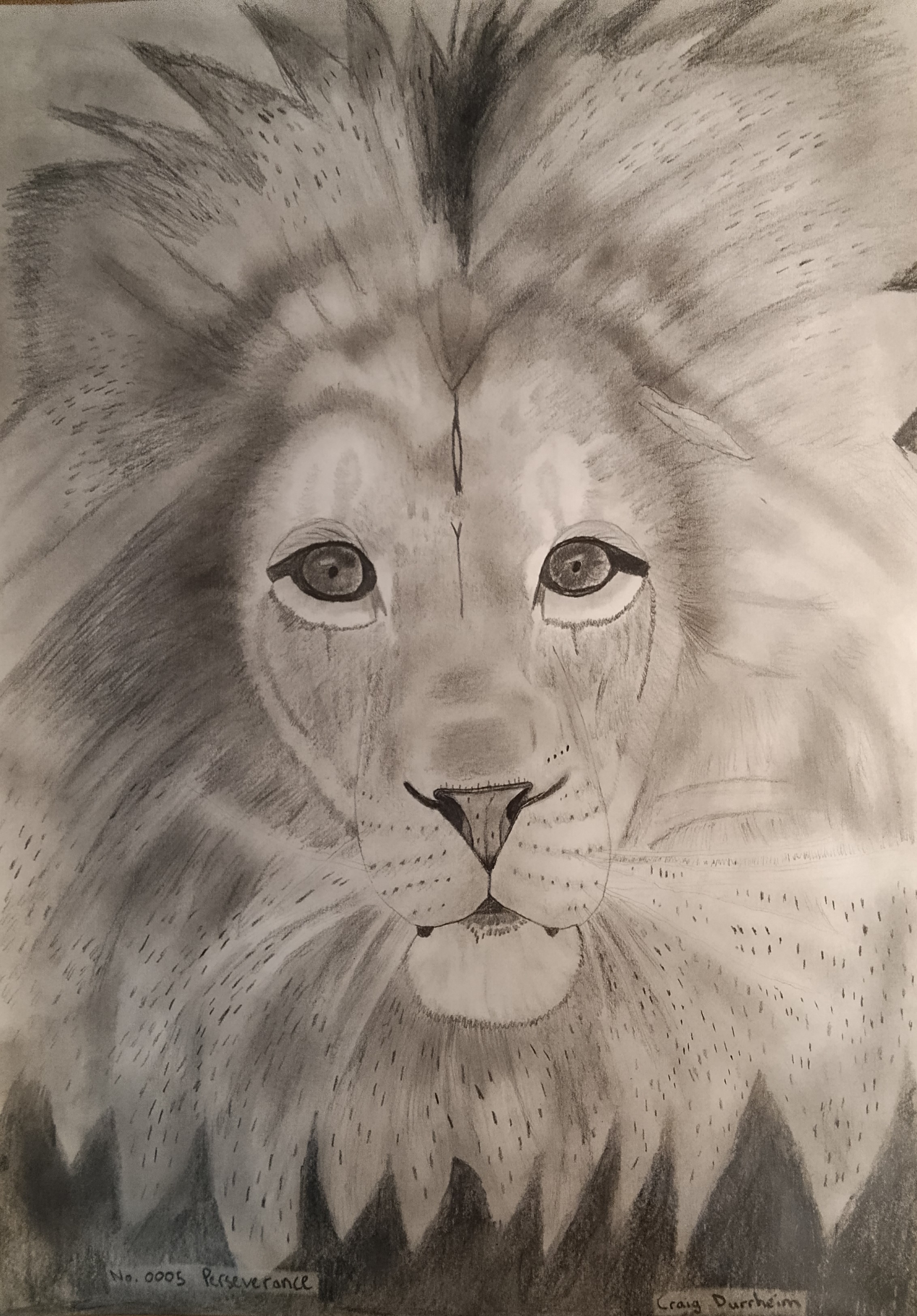 Luxury Lion Artwork 5