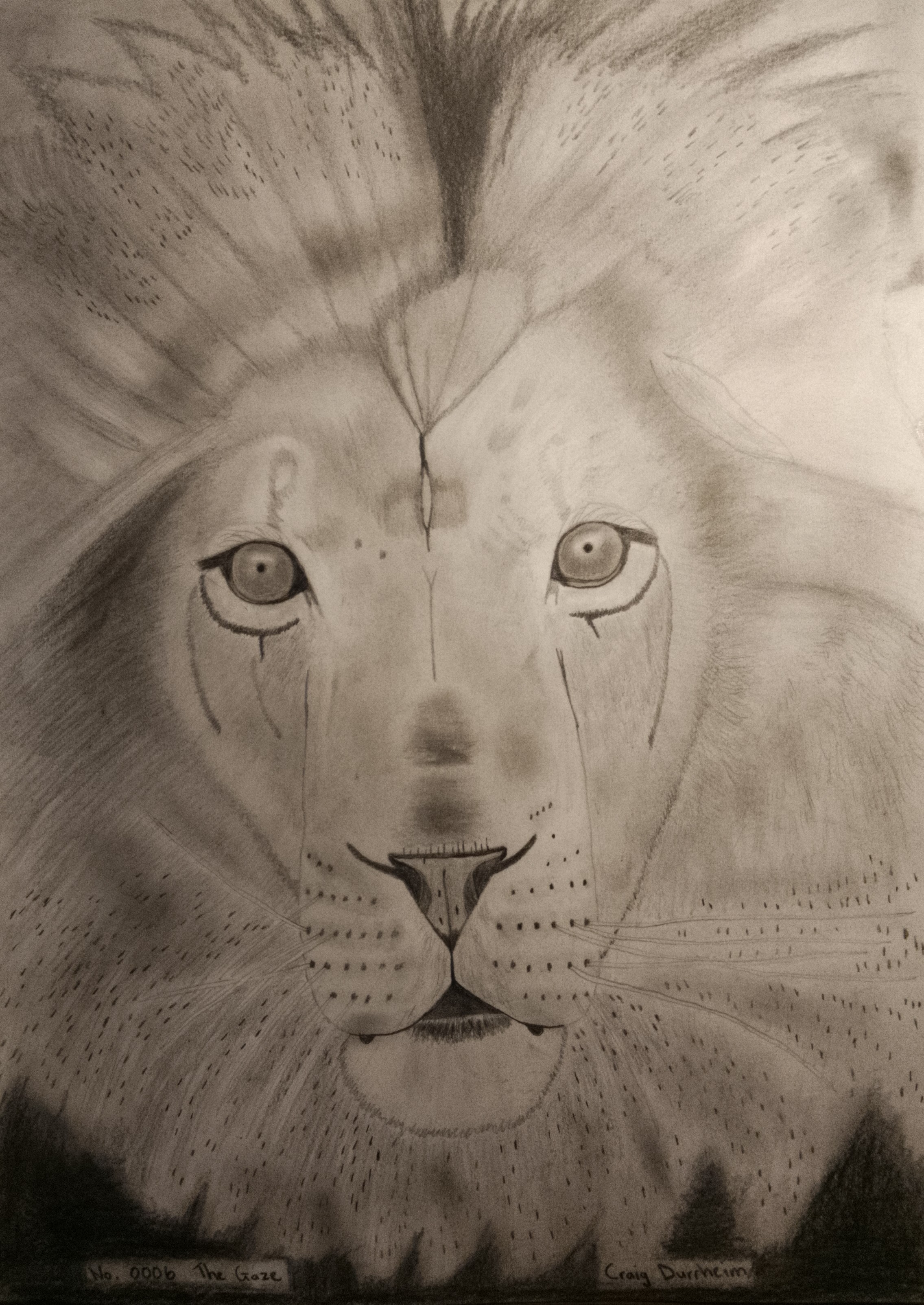 Luxury Lion Artwork 6